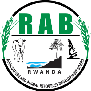 Rwanda Agriculture and Animal Resources Development Board